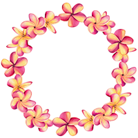 ハイビスカスの写真